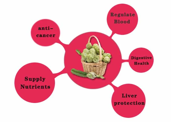 Digestive Health.jpg